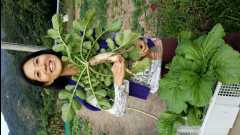 20131124 Organic Farm42